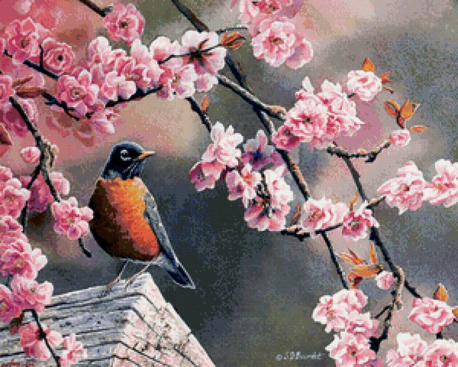 птица и ветка сакуры - цвет, графика, природа, сакура, птица, рисунок, весна - предпросмотр