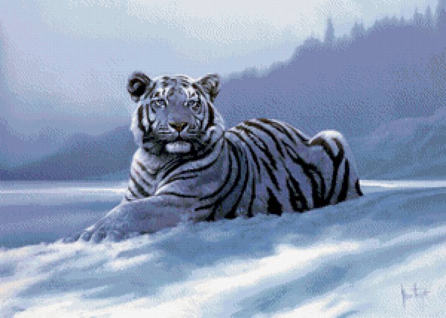 белый тигр в снегу - грация, кошка, природа, животные, снег, зима, тигр - предпросмотр