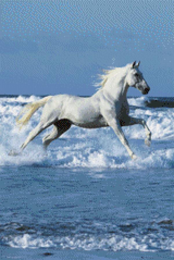 Белый конь на море - прибой, бег, конь, море, лошадь - предпросмотр