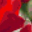 Предпросмотр схемы вышивки «Тюльпани розквітають» (№921775)