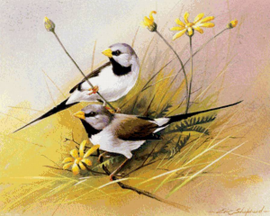 пара птиц в цветах - гнездо, пара, цветы, графика, птицы, ветка, семья, природа - предпросмотр