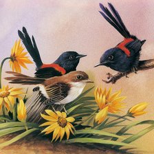 птицы в цветах