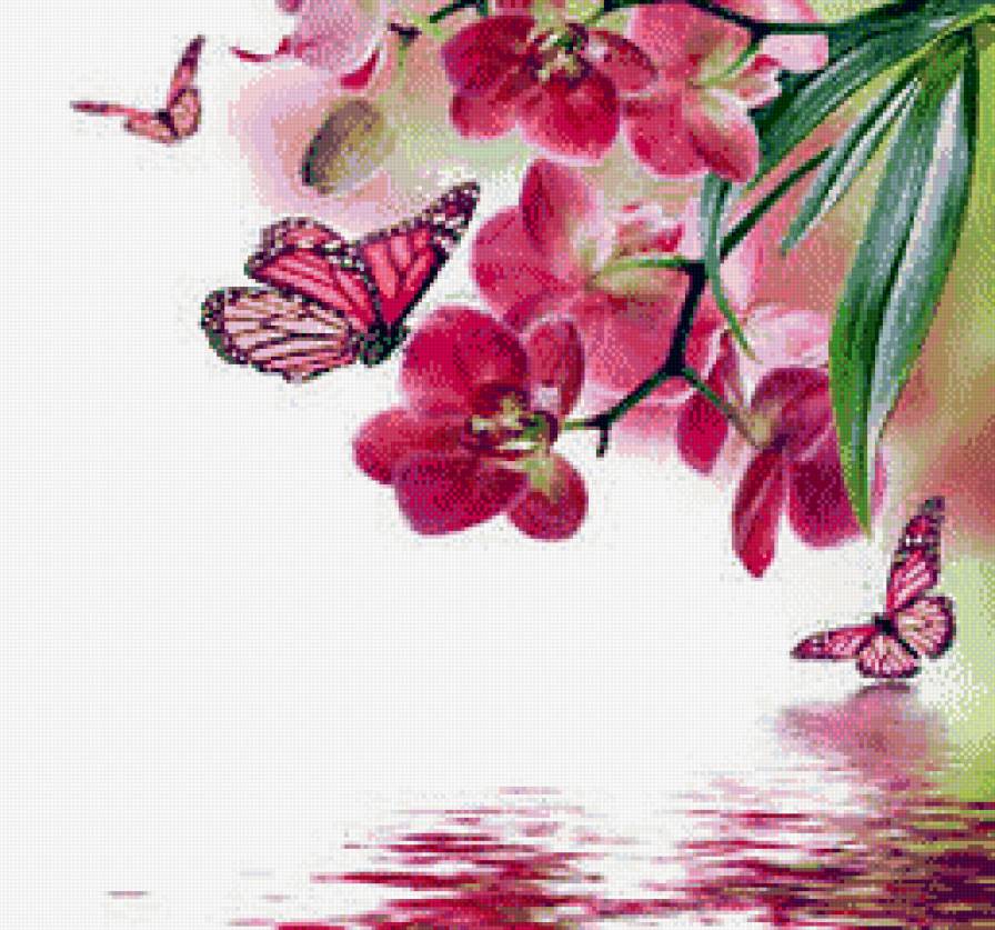 №922661 - цветы, бабочки - предпросмотр