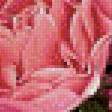 Предпросмотр схемы вышивки «розы» (№922925)