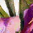 Предпросмотр схемы вышивки «цветы» (№923354)