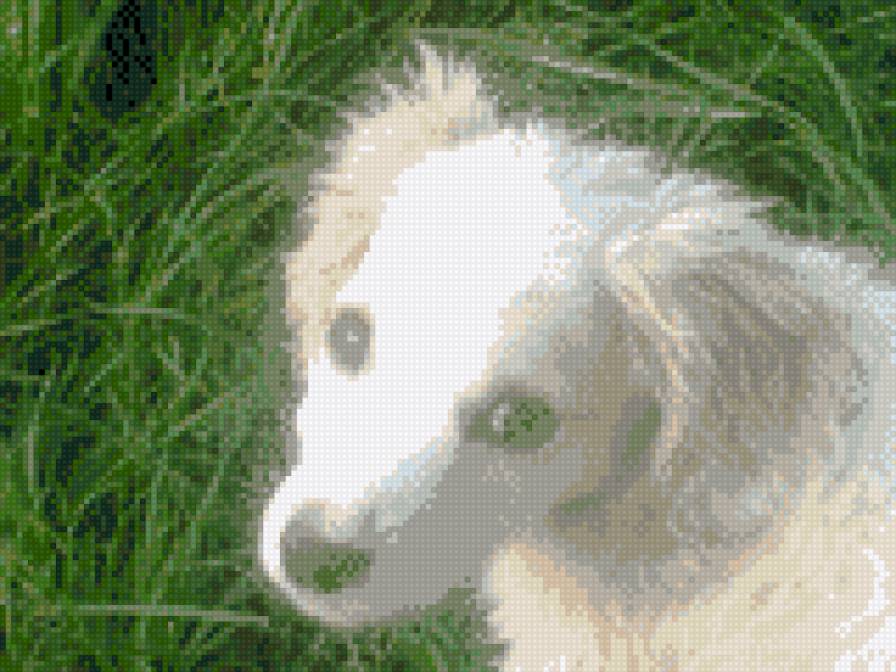 Собачка в траве - схемы вышивки, схемы собачки - предпросмотр