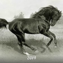 Оригинал схемы вышивки «конь» (№924048)