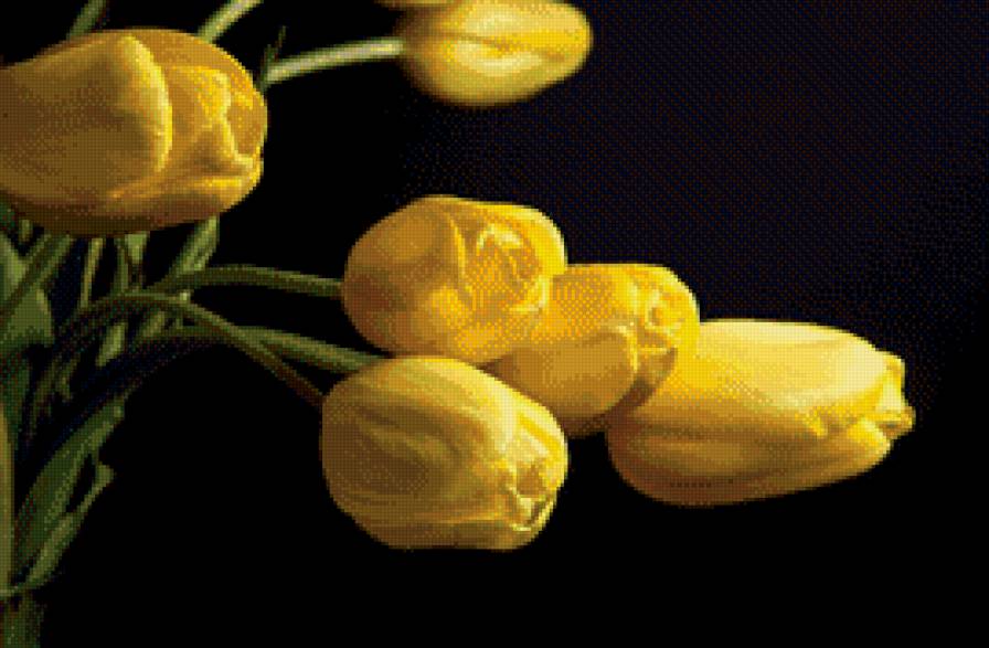 желтые тюльпаны - тюльпаны, цветы, желтые - предпросмотр