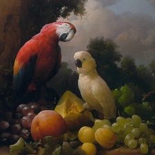 Схема вышивки «Картина с попугаями»