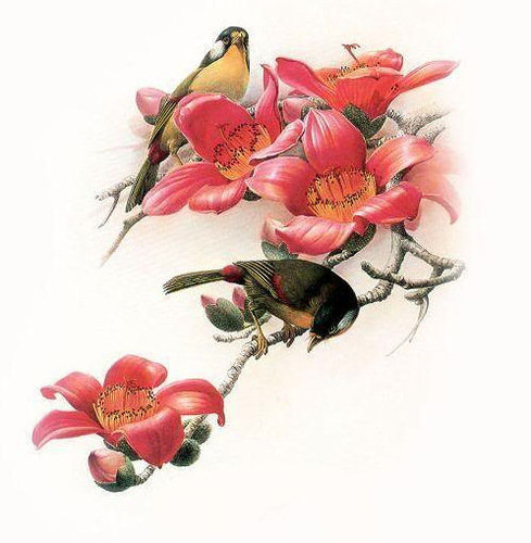 Птицы - цветы, живитные, птицы - оригинал