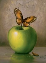 еда - бабочка, фрукты, еда, яблоко, натюрморт - оригинал