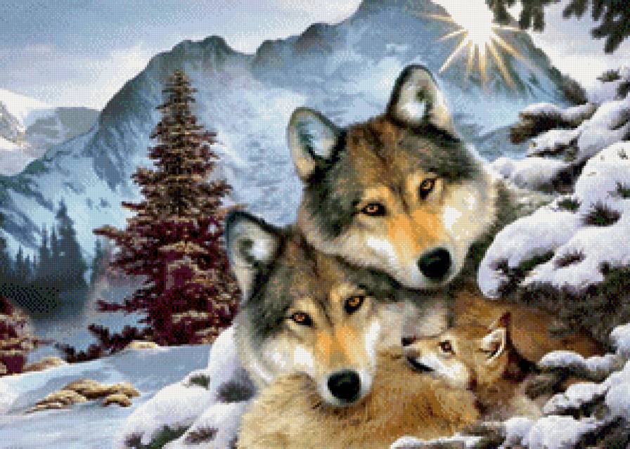 семейка волков - волки, животные - предпросмотр