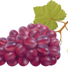 Оригинал схемы вышивки «виноград» (№926251)