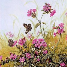 Оригинал схемы вышивки «цветочки-бабочки» (№927597)