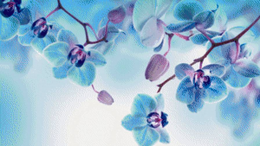 №928644 - орхидеи, сиреневый, голубой - предпросмотр