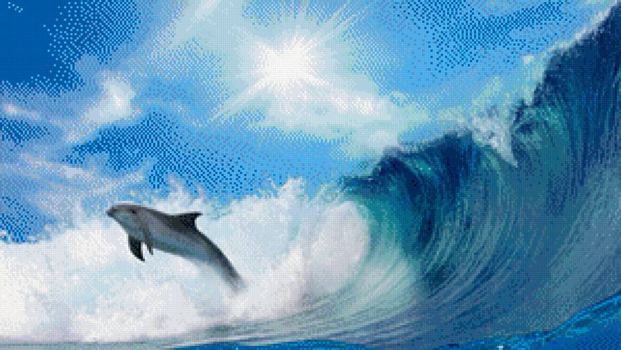 №928691 - голубой, море, волна, дельфин - предпросмотр