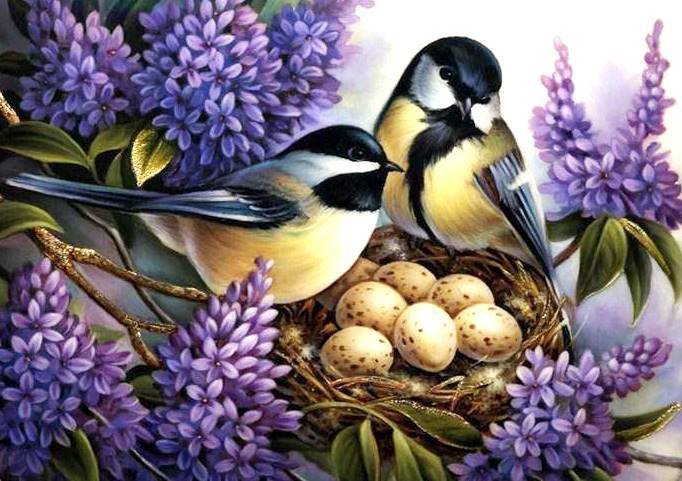 Синички в гнезде сирени - природа, весна, пейзажи, птицы - оригинал