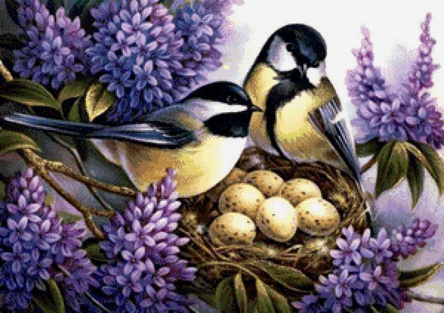 Синички в гнезде сирени - весна, природа, птицы, пейзажи - предпросмотр
