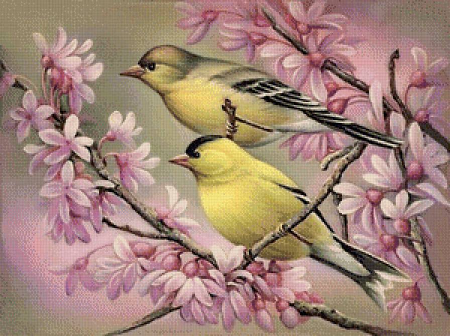 №928713 - природа, весна, птицы, пейзажи - предпросмотр
