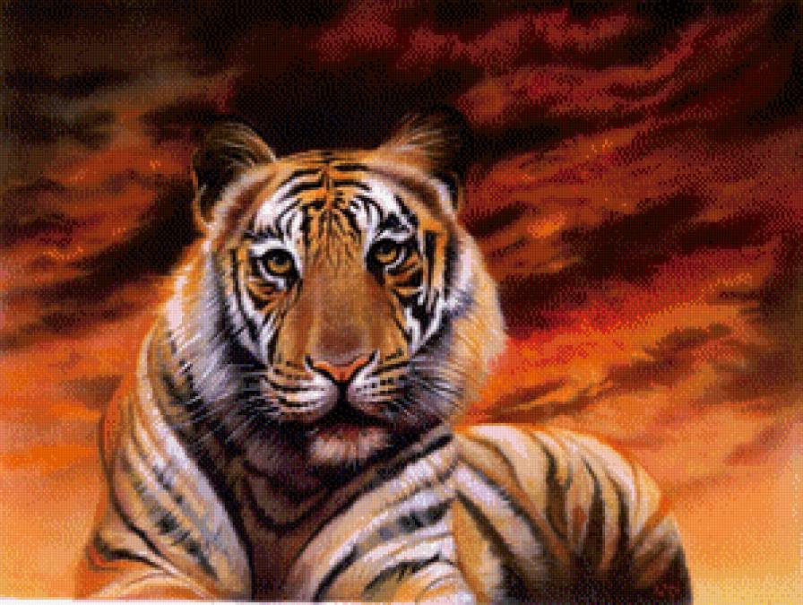 тигруля - хищник, тигр - предпросмотр