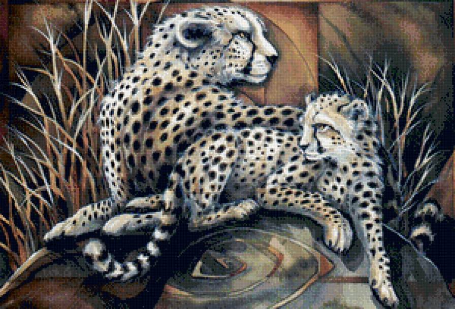 семья леопардов - любовь, кошки, природа, леопард, пара, животные, семья - предпросмотр