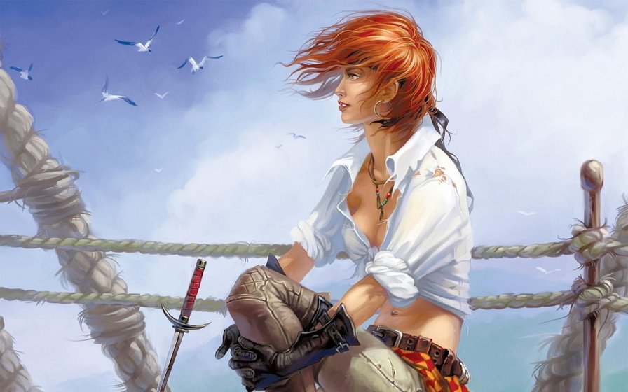 Пиратка - фэнтези, чайки, корабль, пират, девушка, море, арт - оригинал