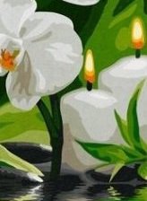 Оригинал схемы вышивки «Триптих "Романтика орхидеи" ч.2» (№930900)