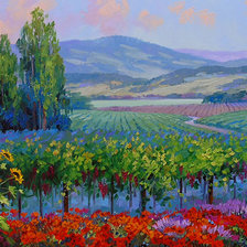 пейзаж с виноградниками