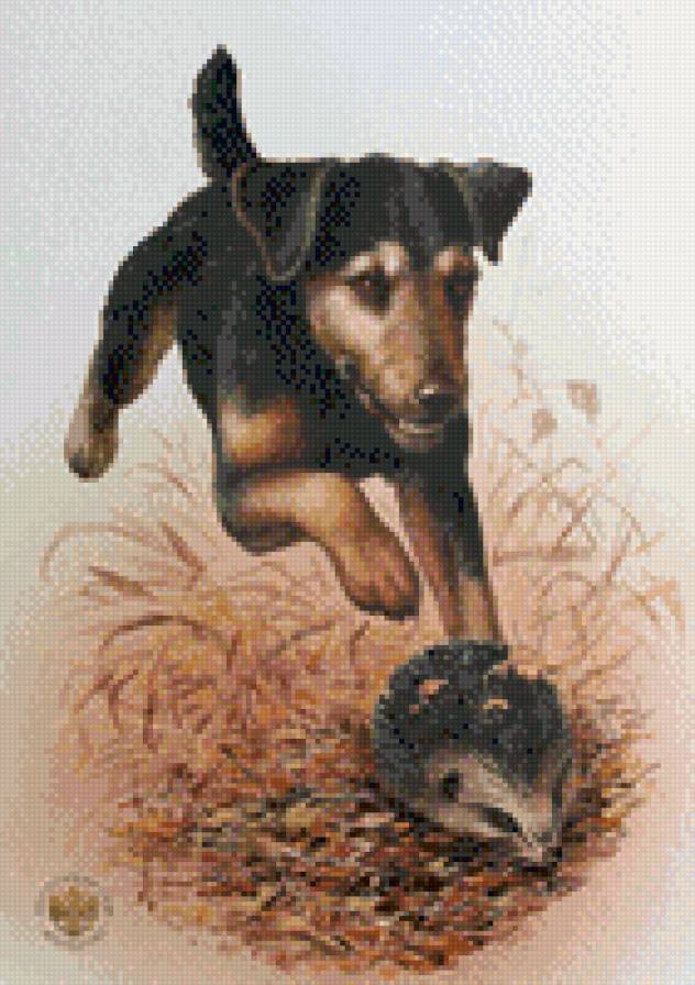 Собака с ёжиком - ягдтерьер, ежик, осень, охотник, собака - предпросмотр