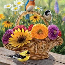 птицы на корзине с цветами