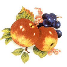 Оригинал схемы вышивки «фрукты» (№932791)