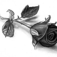 Оригинал схемы вышивки «Роза» (№933365)