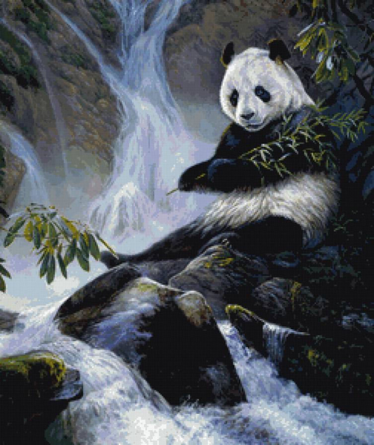 Панда - животные - предпросмотр