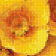 Предпросмотр схемы вышивки «букет жёлтых цветов в вазе» (№934306)