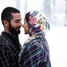 Схема вышивки «Haider»