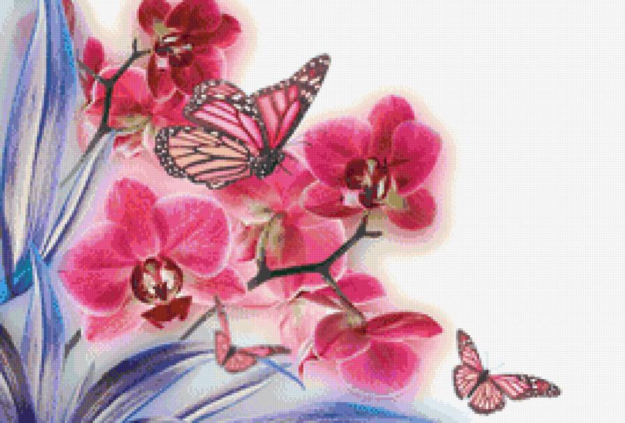 Нежная орхидея - веточки, бабочка, цветок, орхидея - предпросмотр