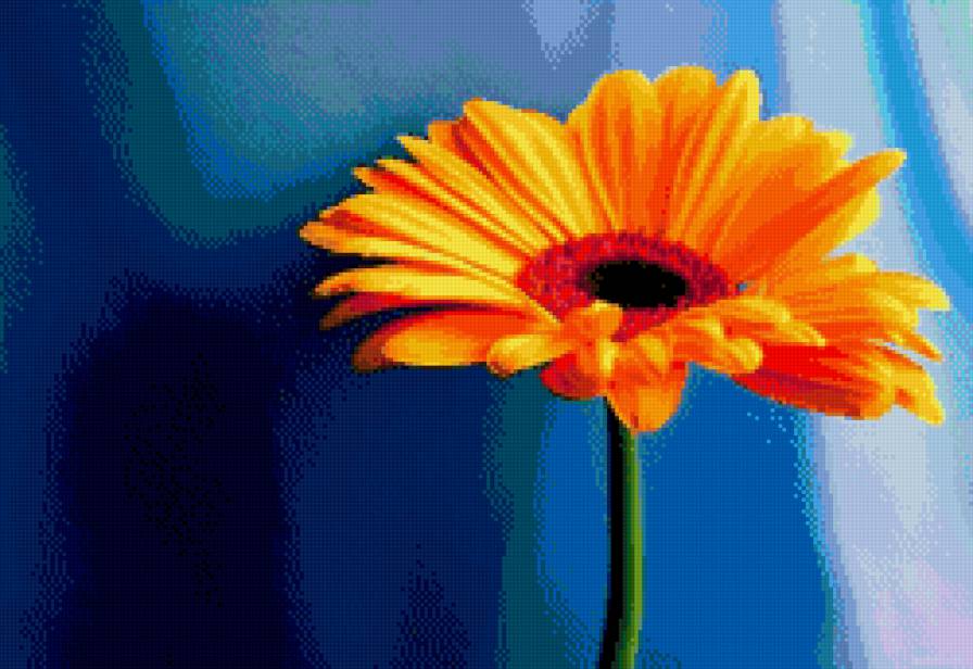 Гербера - цветы, цветок, яркий, солнечный - предпросмотр