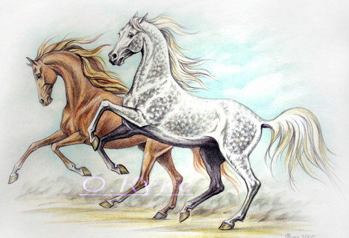 Пара лошадей - лошади, прыжок., пара - оригинал