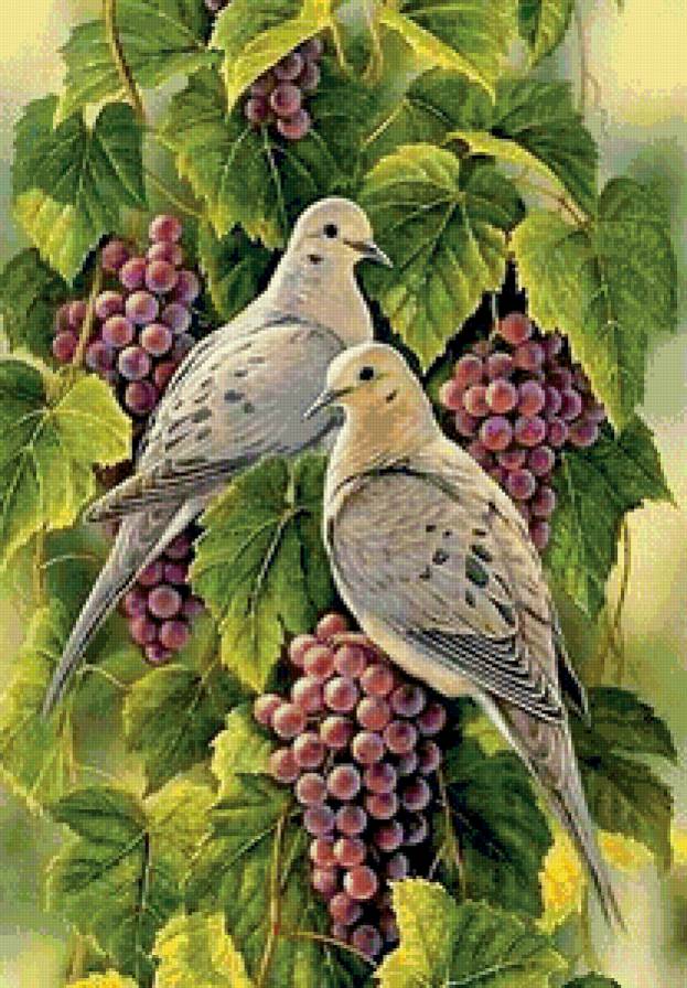 птицы на виноградной ветке - птицы, виноград, фрукты, ветка, картина, голуби - предпросмотр