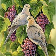 Оригинал схемы вышивки «птицы на виноградной ветке» (№937252)