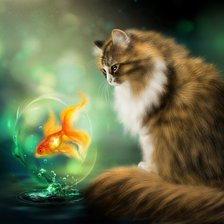 кот и золотая рыбка