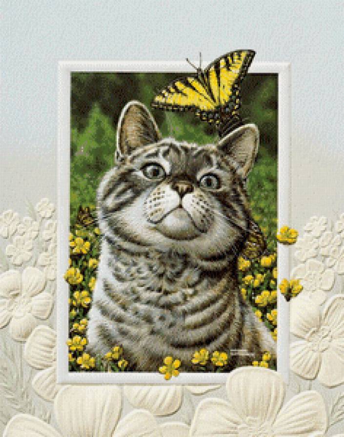 Серия "В рамке" - рамка, котенок, природа, лето, бабочка - предпросмотр