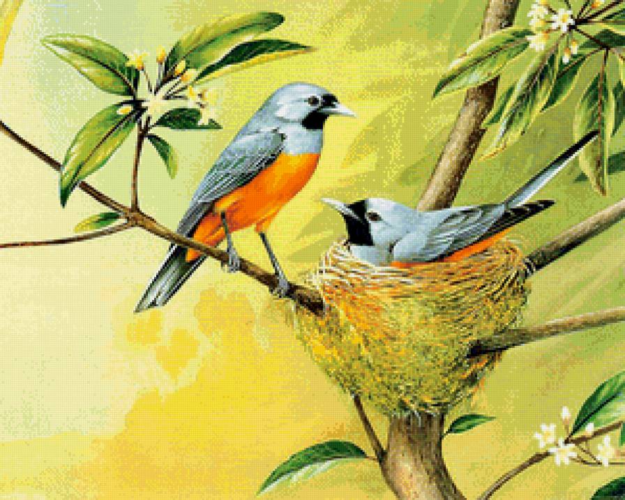 птицы в гнезде - гнездо, пара, птицы, ветка, любовь, семья - предпросмотр