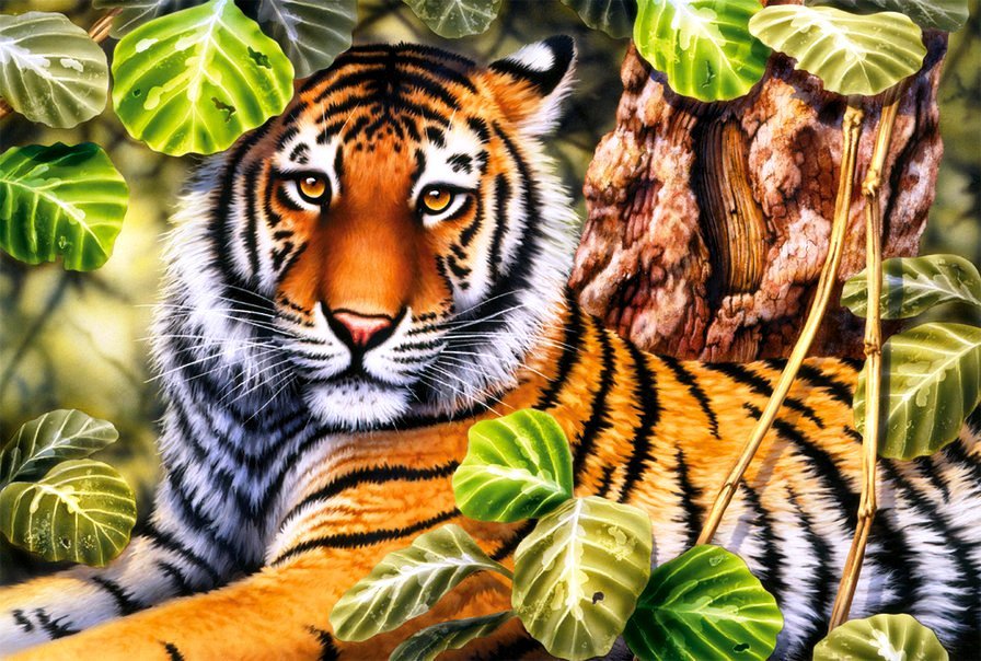 Тигр - животные, тигр, дикие кошки - оригинал
