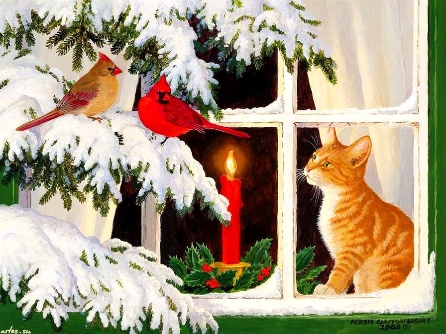 новый год в окне - окно, новый год, пара, ель, снег, свеча, котик, птицы - оригинал