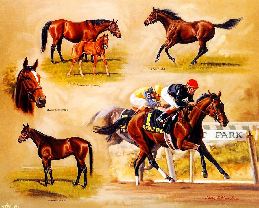 коллаж "кони и скачки" - коллаж, животные, жокей, кони, скачки, лошади, картина - оригинал