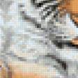 Предпросмотр схемы вышивки «тигрята» (№938913)