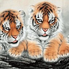 Оригинал схемы вышивки «тигрята» (№938913)