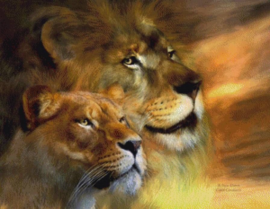львы - лев, хищник, кошка - предпросмотр