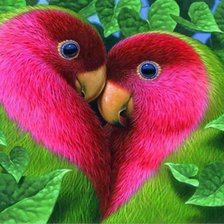 Схема вышивки «влюблённые попугаи»